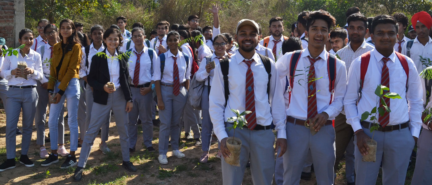 Tree Plantation Drive at Village Swara 